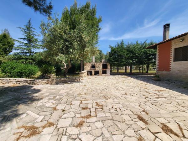 Appartamento in villa in Viale delle Rose, Andria — foto 3 di 5