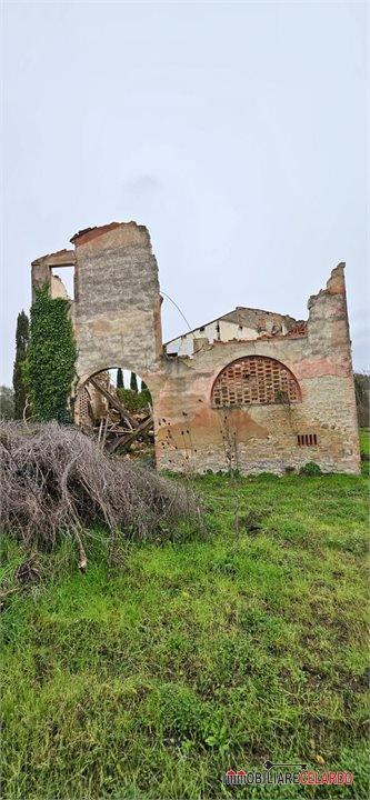 Rustico, Certaldo — foto 3 di 5