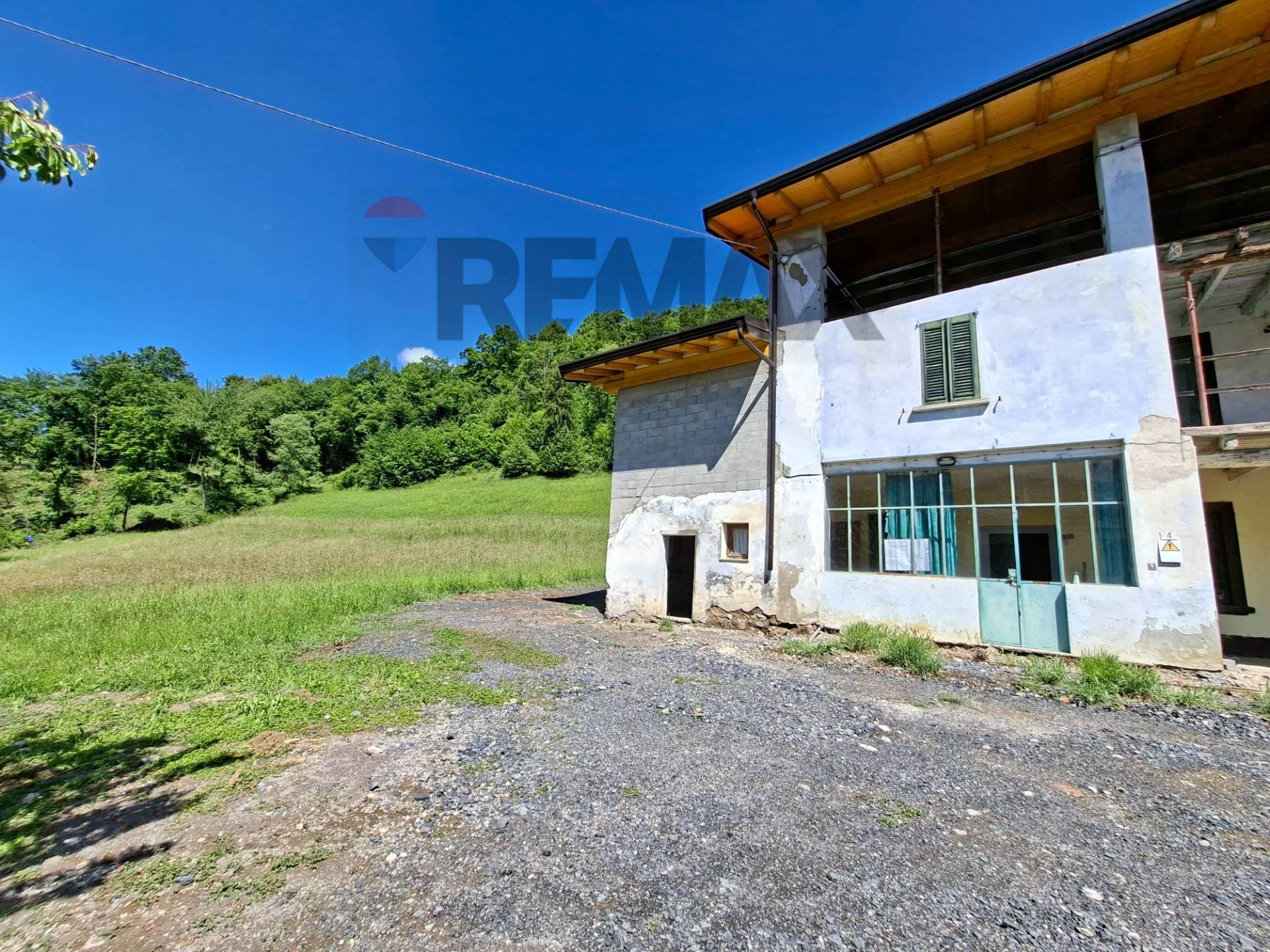 Rustico, Endine Gaiano