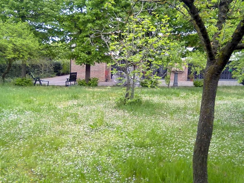 Quadrilocale in Strada Vandelli, Castelnuovo Rangone — foto 4 di 5