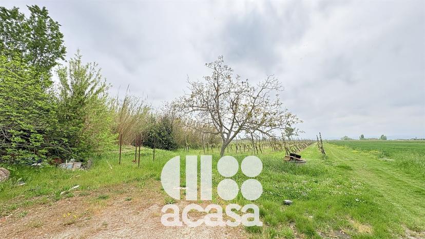 Casa indipendente in Via Vetreto, Cesenatico — foto 3 di 5