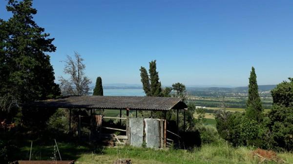 Casa colonica, Passignano sul Trasimeno
