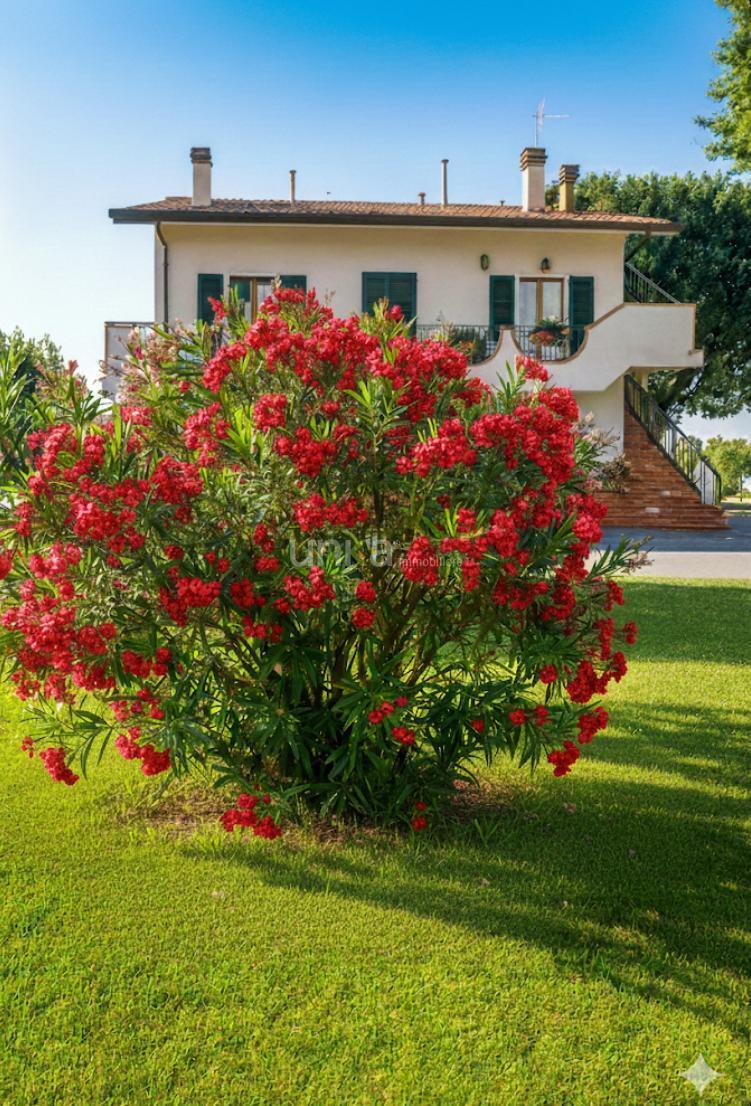 Casa indipendente in Via Ponte Pio Snc, Jesi — foto 5 di 5