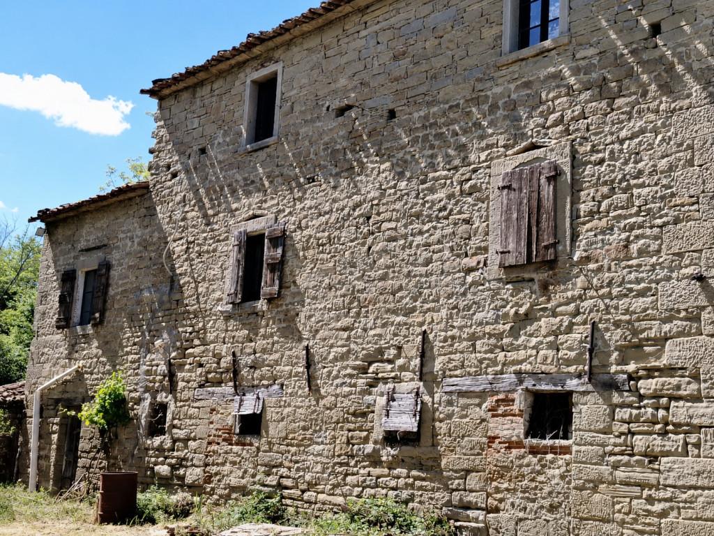 Rustico, Galeata