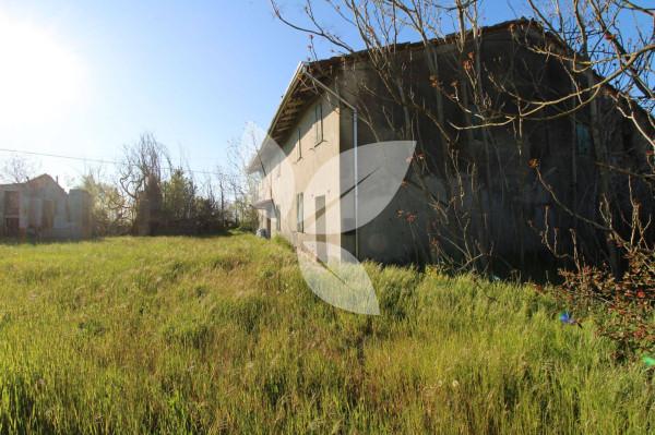 Rustico in Frazione Roncole Verdi, Busseto — foto 3 di 4