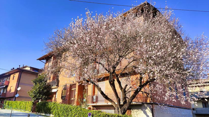Quadrilocale in Via Po' della Fratta 25, Piegaro — foto 2 di 5