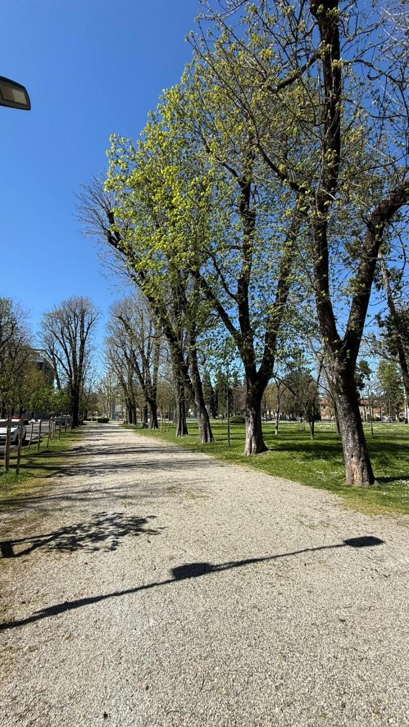 Quadrilocale in Vile Berett 3/a, Casale Monferrato — foto 2 di 5