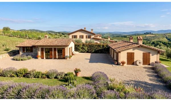 Casa colonica in Via Sinistra Guerro, Castelvetro di Modena — foto 3 di 5