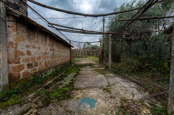Rustico in Via Colle Caroso, Palestrina