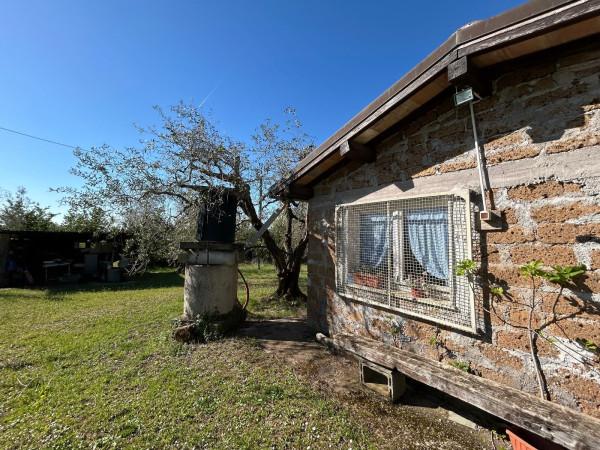Rustico in Strada Provinciale Ortana, Bassano in Teverina — foto 3 di 5