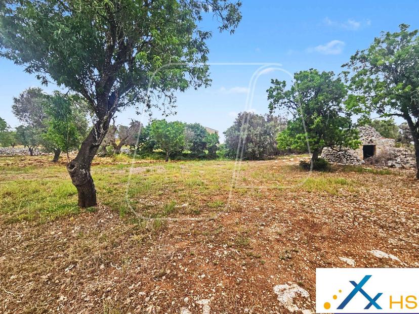 Trullo, Carovigno — foto 2 di 5