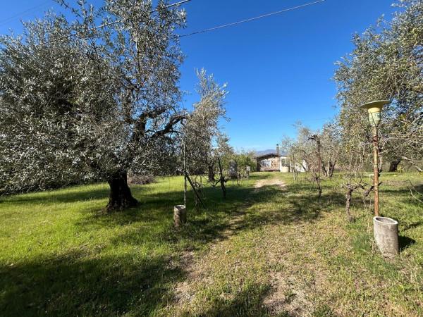 Rustico in Strada Provinciale Ortana, Bassano in Teverina — foto 4 di 5