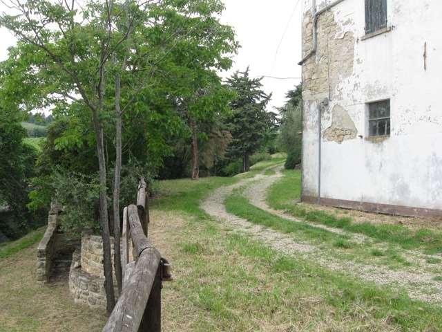 Rustico, Castrocaro Terme e Terra del Sole — foto 4 di 5