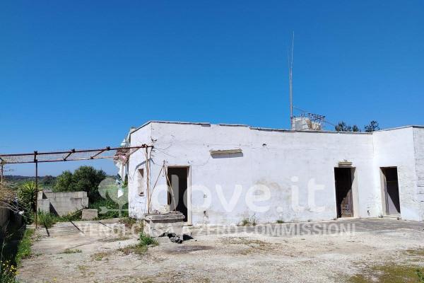 Rustico in Contrada Scianolecchia, S.N.C., Carovigno — foto 3 di 5
