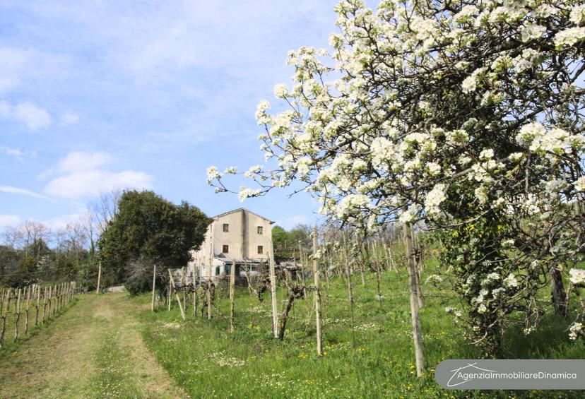 Villa bifamiliare in Via Colle Capriolo, San Pietro di Feletto — foto 2 di 5