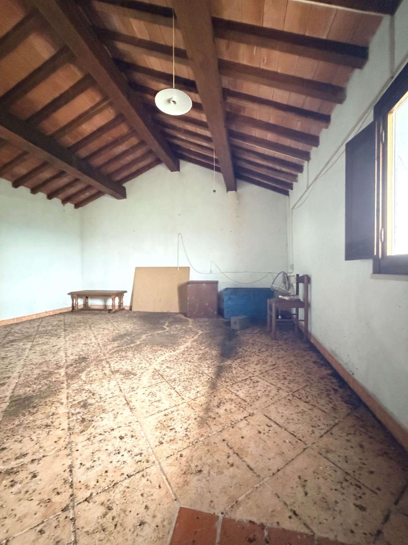 Rustico, Santa Maria a Monte — foto 5 di 5