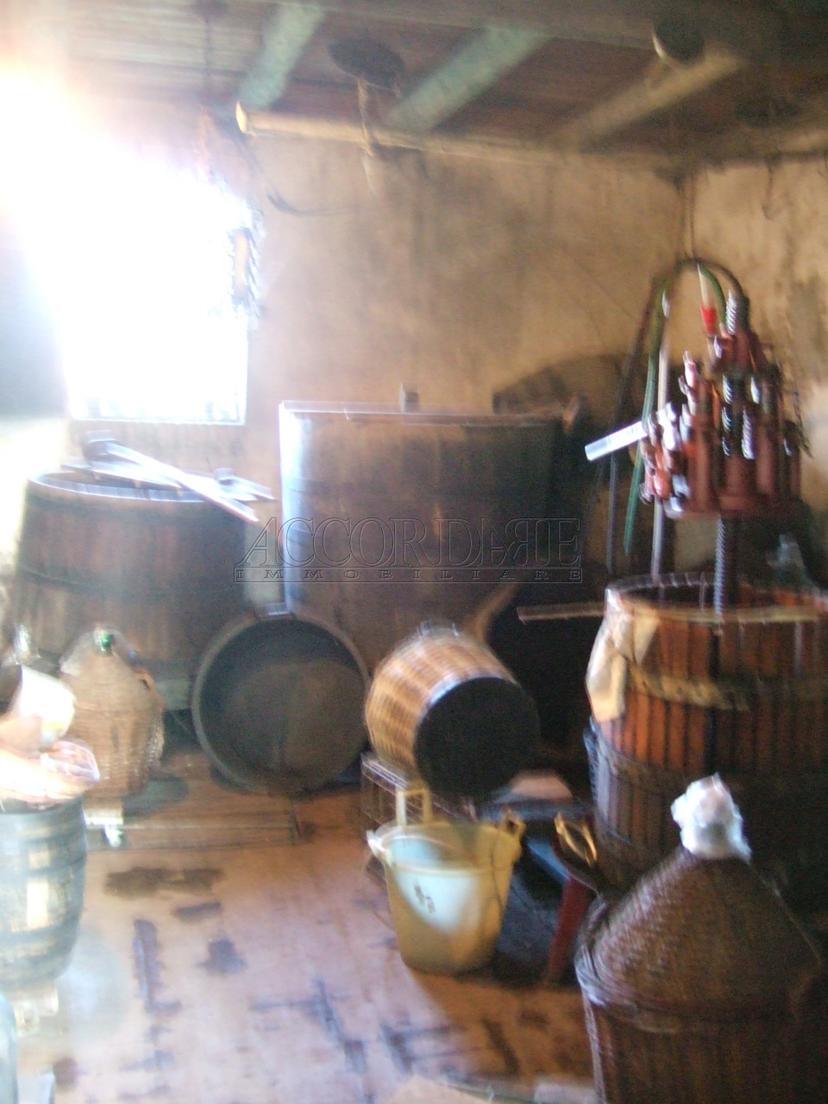 Rustico in Via Marco Polo 87/C, Mestrino — foto 3 di 3