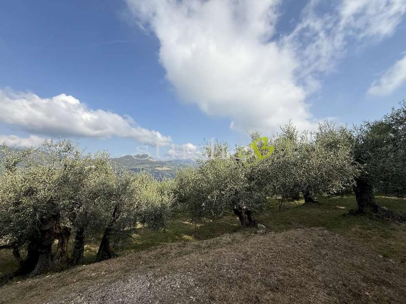 Rustico, San Biagio della Cima — foto 2 di 5