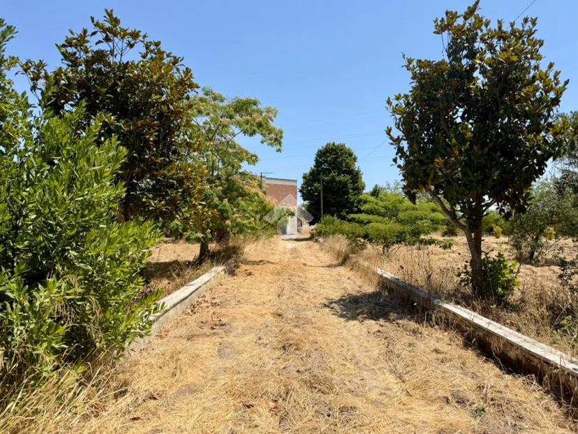 Villa in Via Chieri 13, San Cesario di Lecce — foto 2 di 5