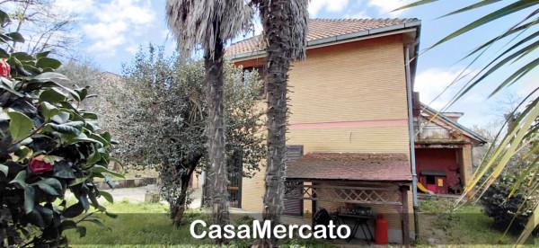Villa bifamiliare in Via delle Barozze, Rocca di Papa — foto 5 di 5