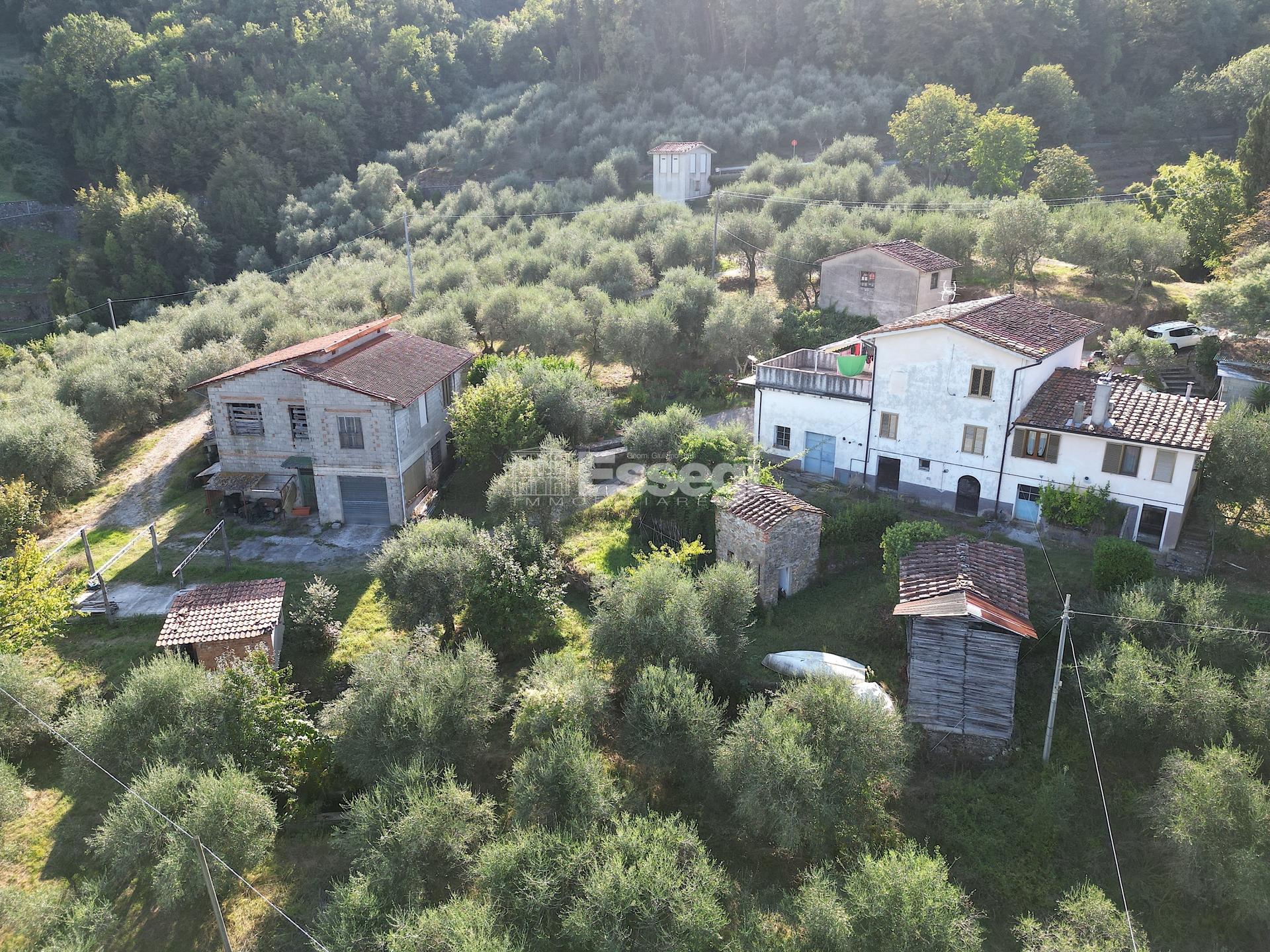 Rustico in Via di Bolognana 601, Lucca
