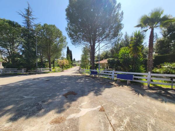 Appartamento in villa, Andria — foto 3 di 5