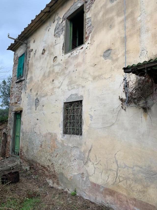 Rustico, Calci — foto 4 di 5