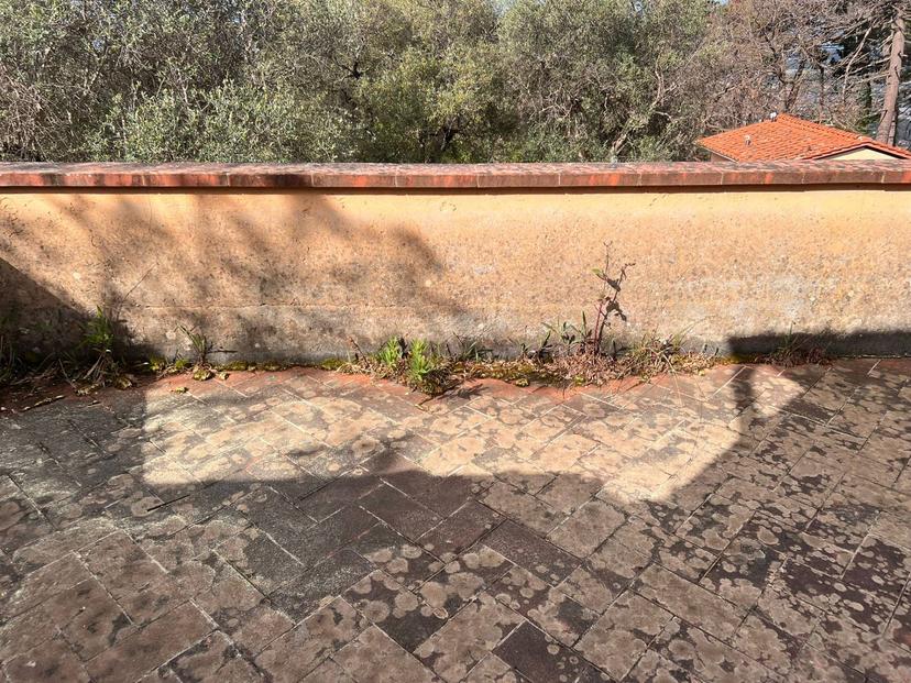 Rustico in Via Capriglia, Pietrasanta — foto 2 di 5