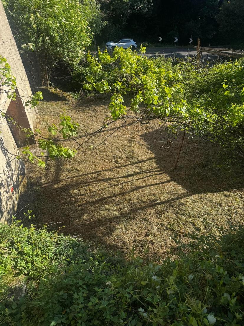 Casa indipendente, Calci — foto 2 di 4