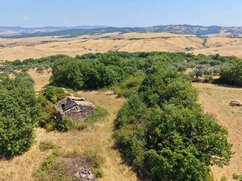 Rustico in Case Sparse Madonna, Castiglione d'Orcia — foto 5 di 5