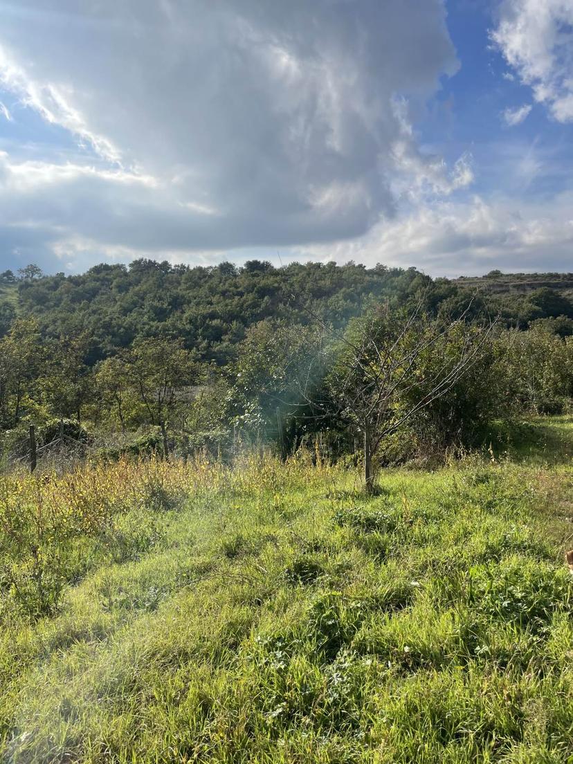 Rustico, Tuscania — foto 3 di 5