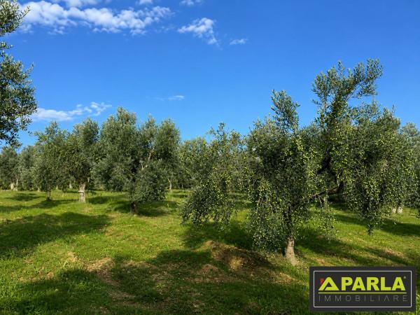 Villa, Canicattì — foto 2 di 5
