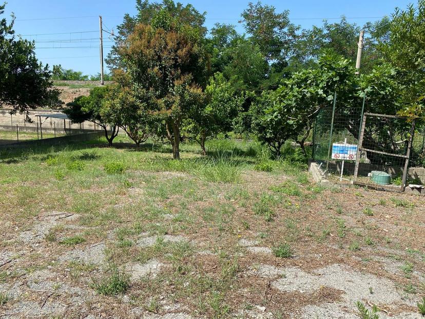 Quadrilocale in Contrada Cartolano Snc, Falerna — foto 3 di 5