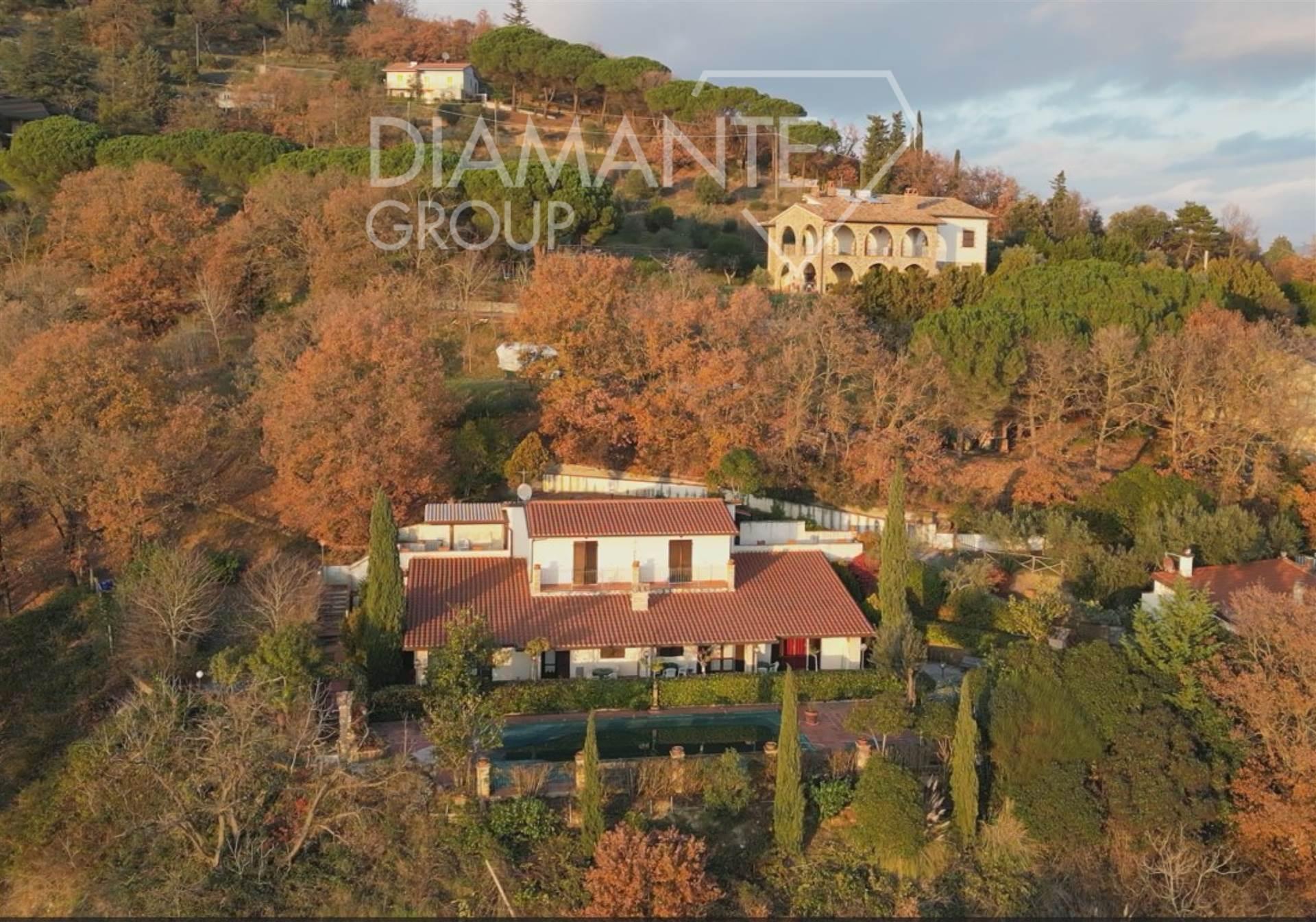 Villa, Magione