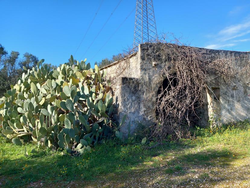 Trullo in C.da Sardella, San Michele Salentino — foto 3 di 5