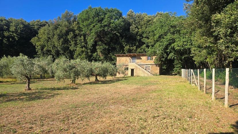 Rustico in Vocabolo Vallenera 24, Lugnano in Teverina — foto 3 di 5