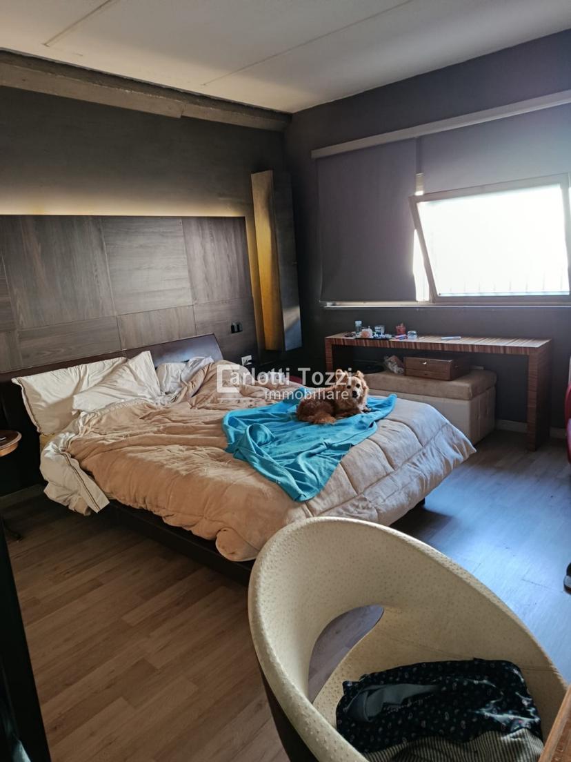 Loft in Viale Europa, Grosseto — foto 2 di 5