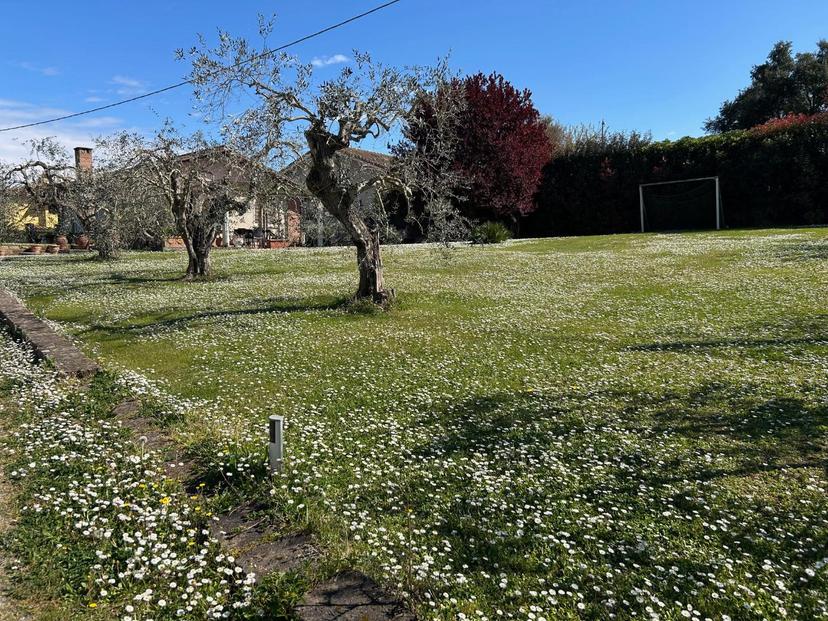 Terratetto in T. Romagnola Est, San Miniato — foto 5 di 5