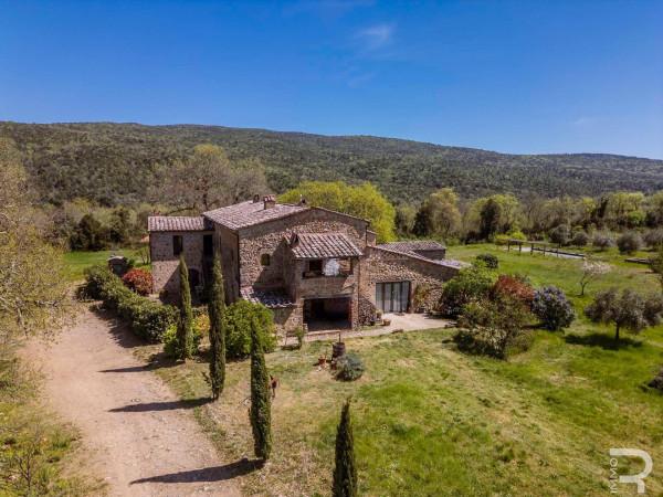 Rustico in Strada Vicinale del Molino di Pari, Civitella Paganico — foto 4 di 5