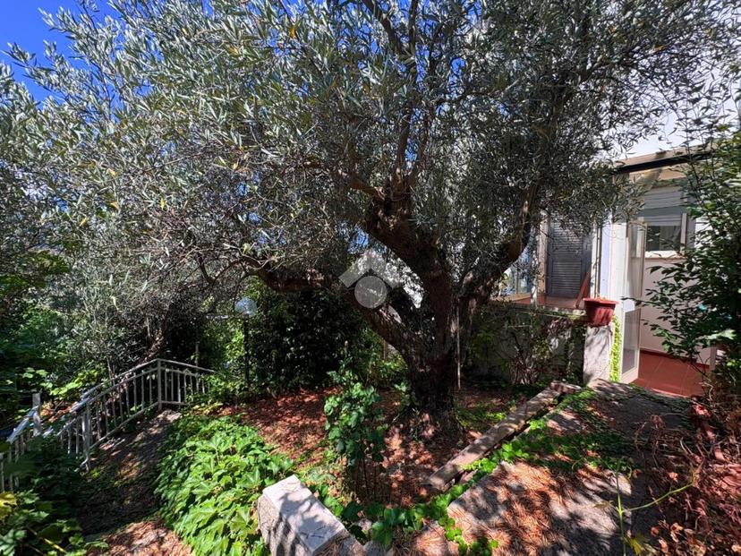 Villa in Via Carlo Levi 6, Mendicino — foto 3 di 5