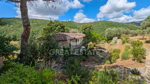 Casale in Strada Provinciale 143, Passignano sul Trasimeno — foto 3 di 5