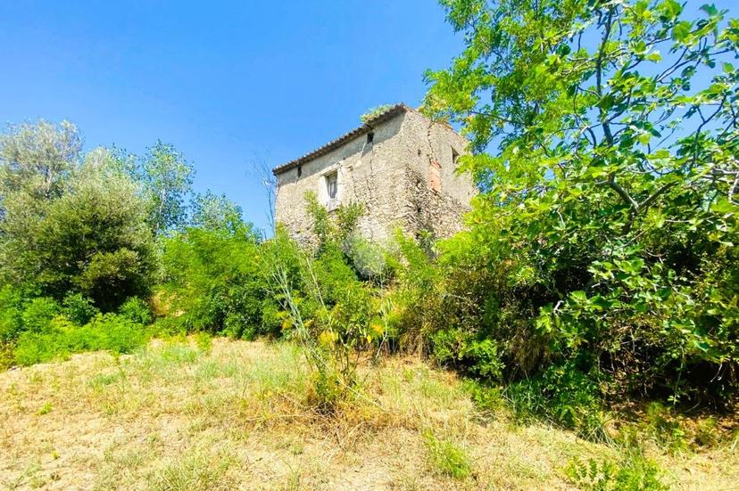 Rustico in Contrada S. Pietro, Falconara Albanese — foto 5 di 5