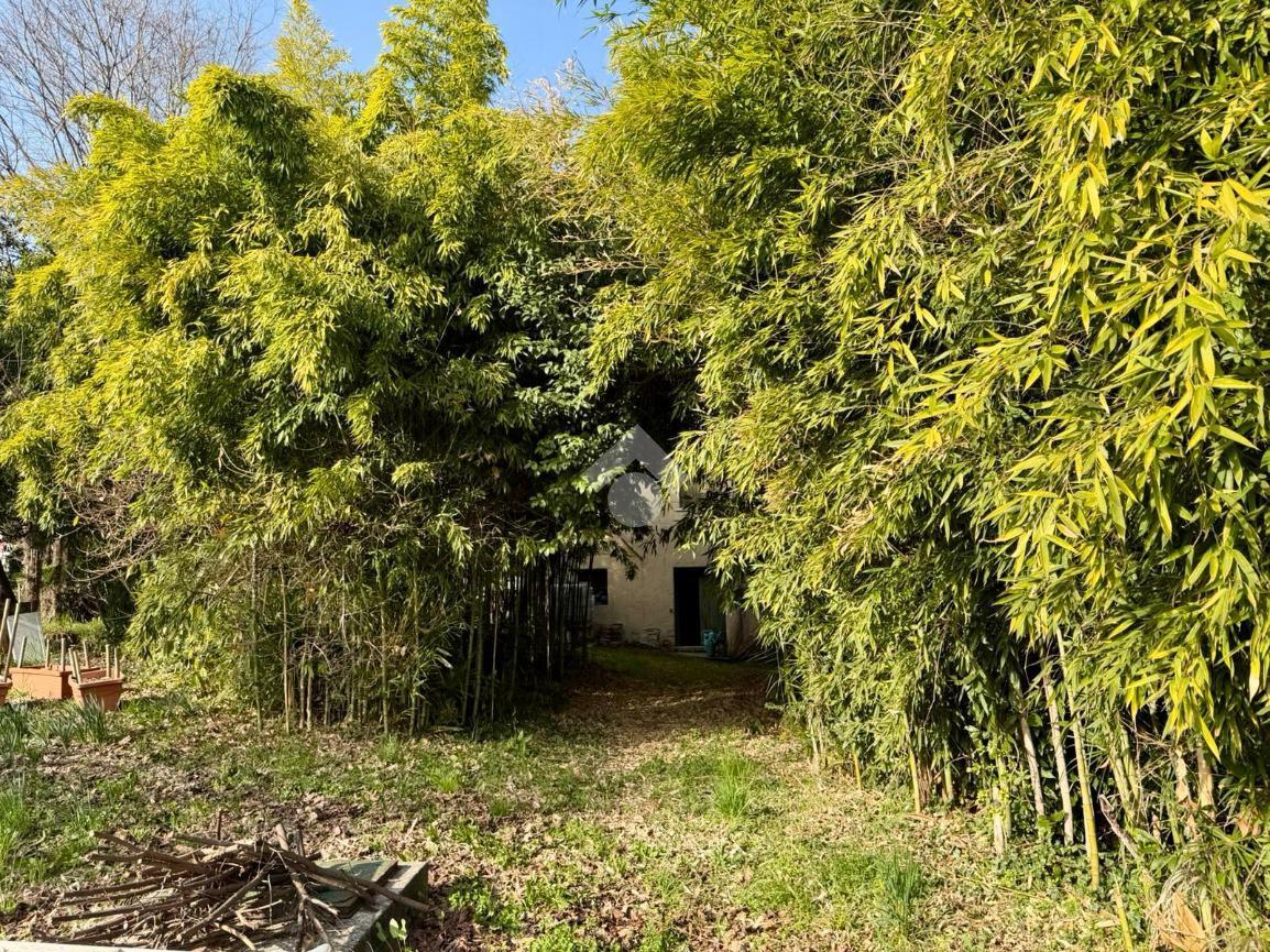 Rustico in Via Asolana 122, Fonte