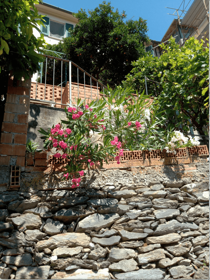 Casa indipendente, Ameglia — foto 4 di 5