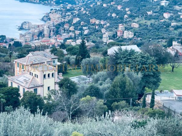 Villa plurifamiliare in Via Franco Molfino, Camogli — foto 4 di 5