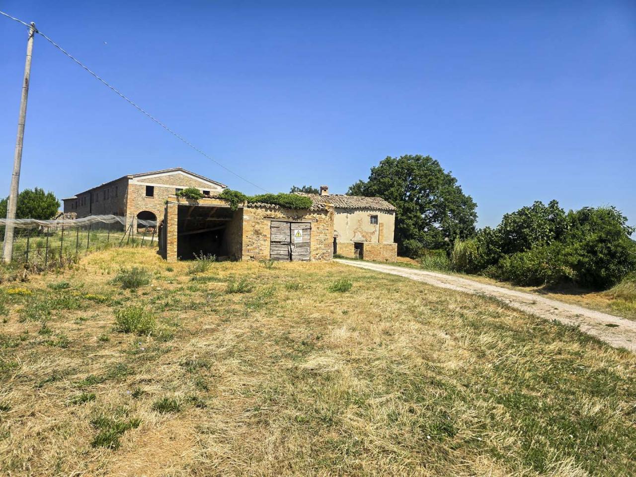 Casale in Collelungo, Peglio