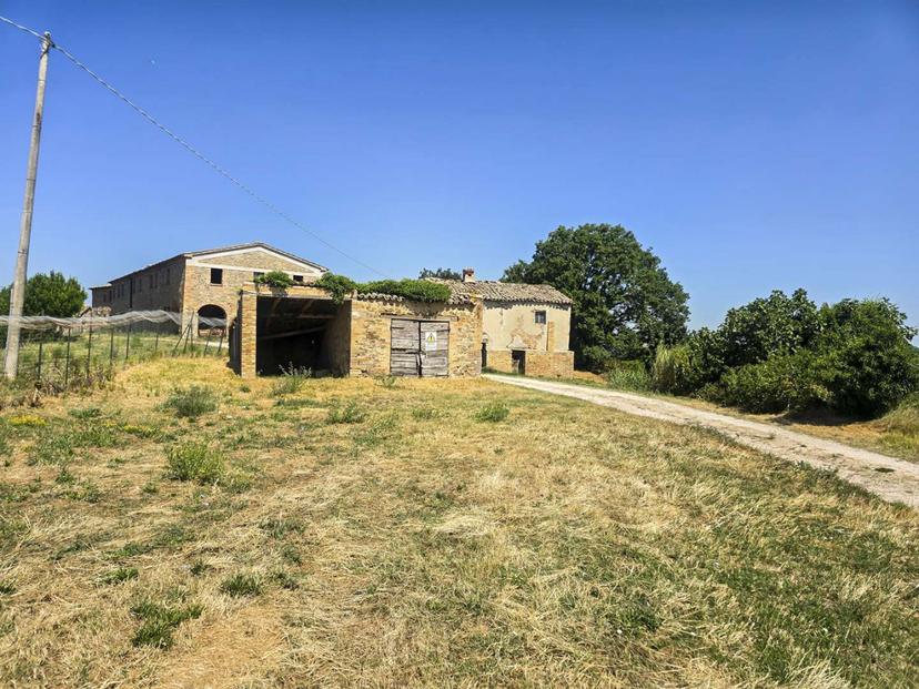 Casale in Collelungo, Peglio