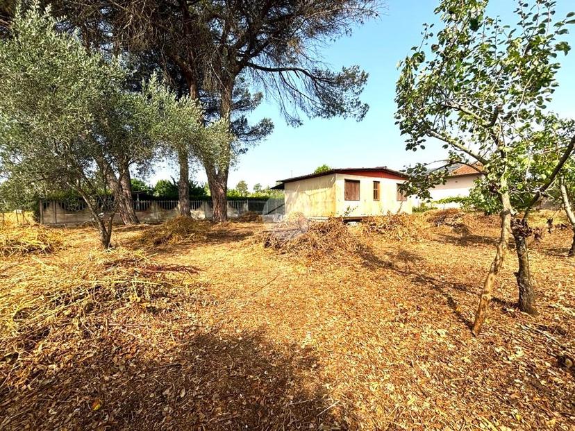 Casa indipendente in Consorzio Arduino 1799, Sabaudia — foto 2 di 5