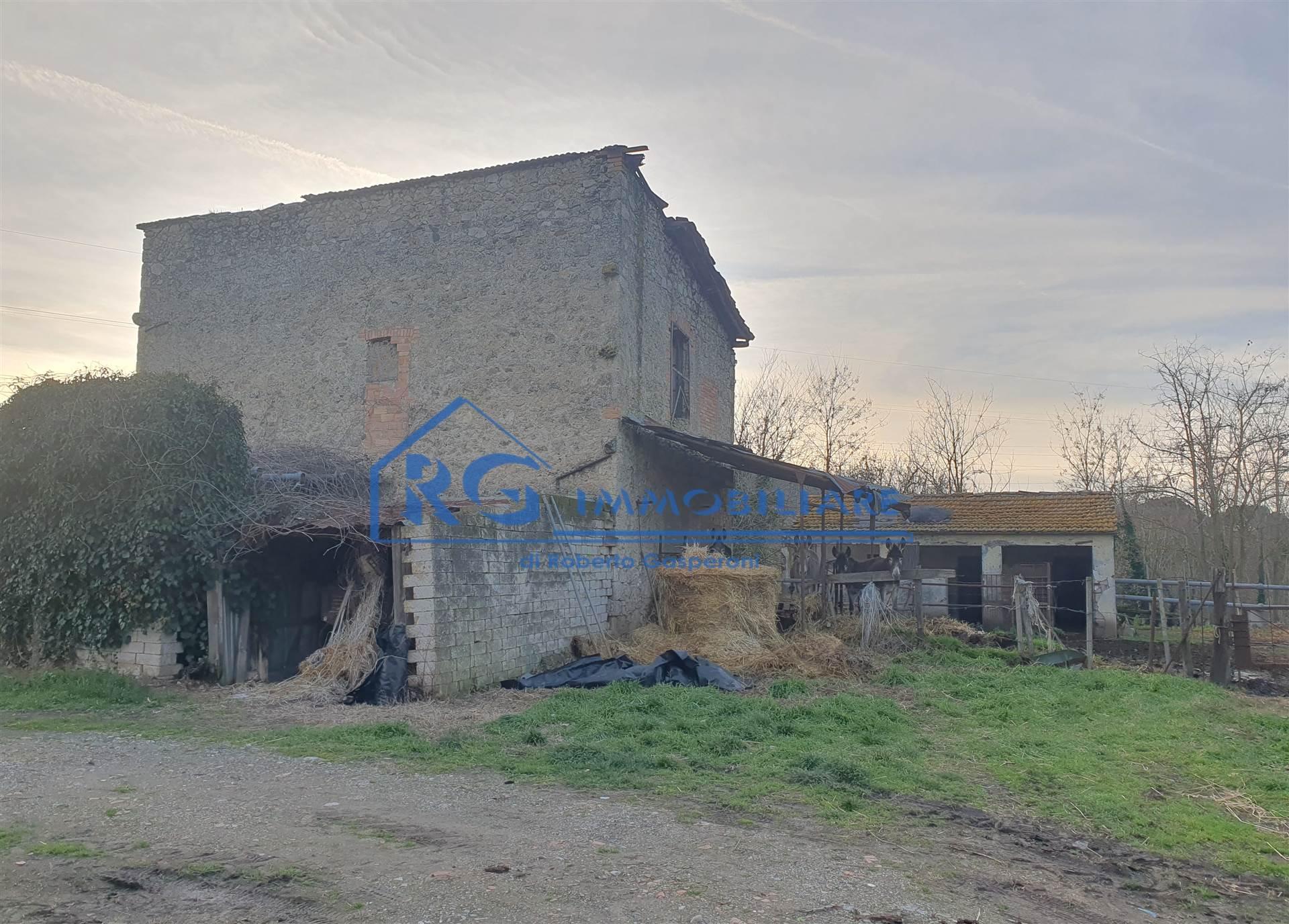 Rustico in Località Pinzale, Castiglione in Teverina