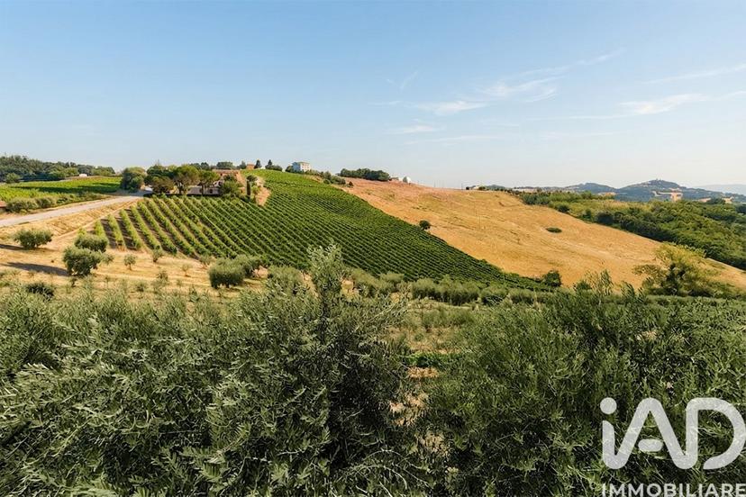 Villa in C.da Bucchiano 40, Monte Rinaldo — foto 4 di 5